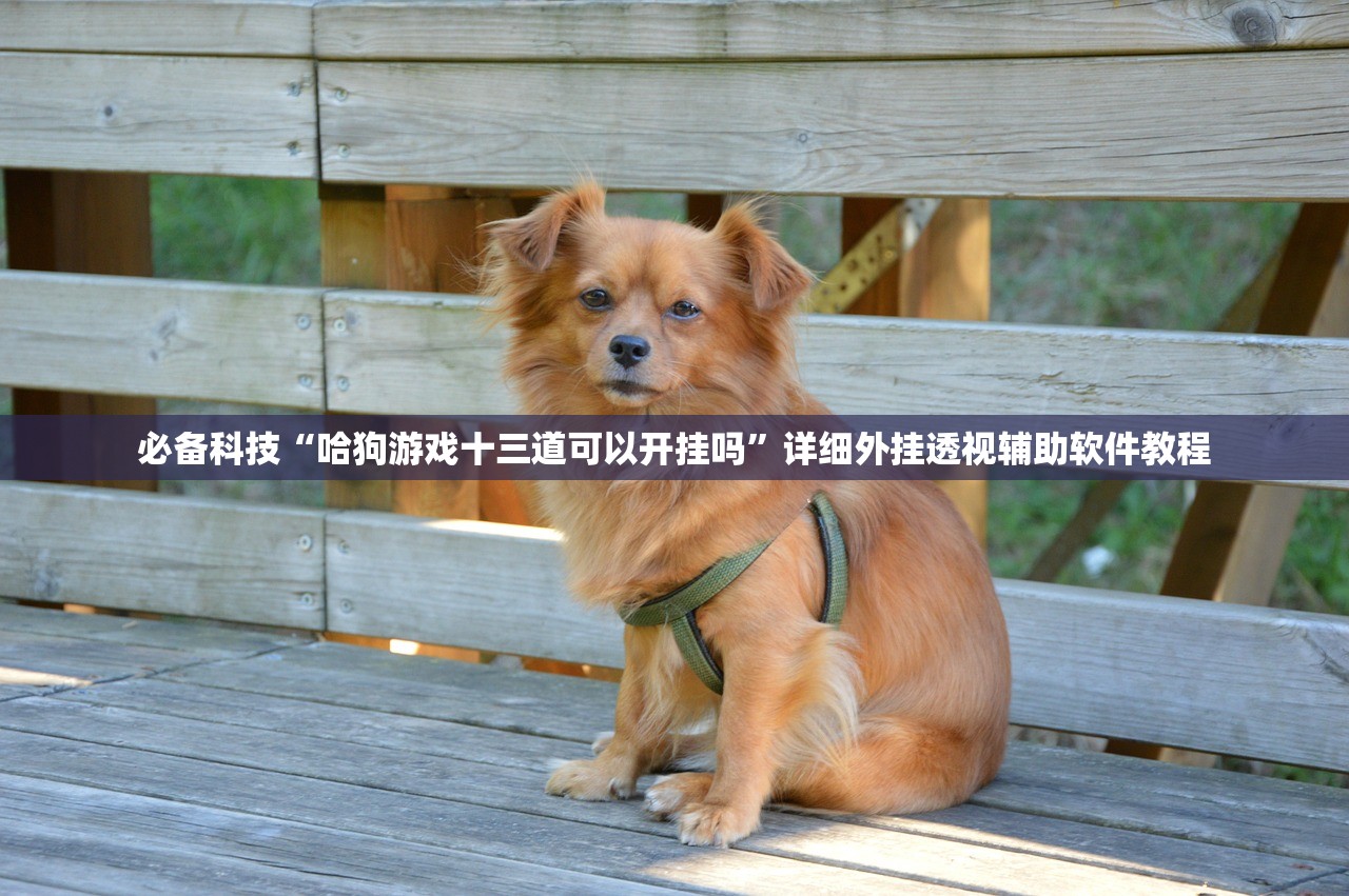 山东昨日新增本土无症状23例/山东新增4例本土无症状