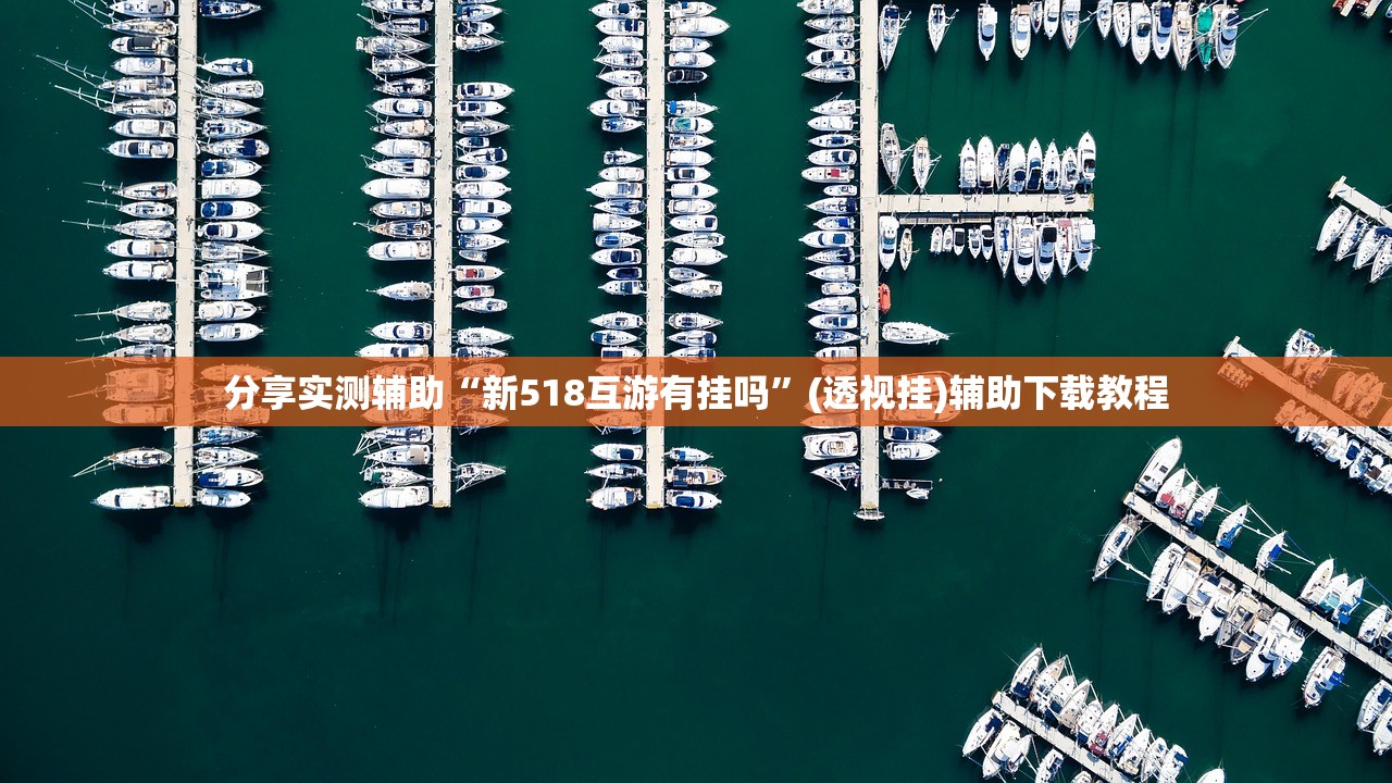 分享实测辅助“新518互游有挂吗”(透视挂)辅助下载教程