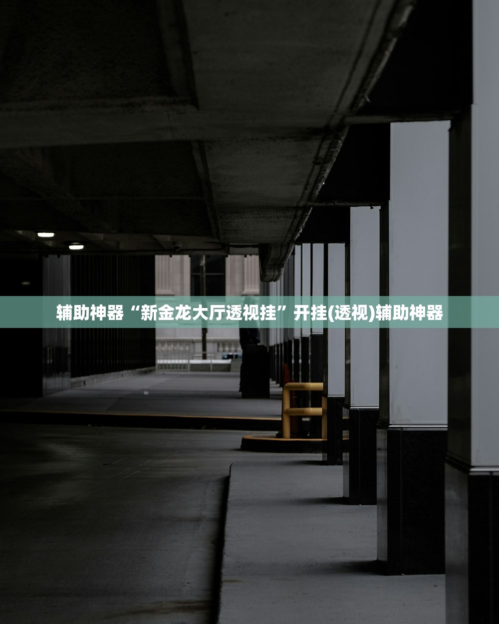 辅助神器“新金龙大厅透视挂	”开挂(透视)辅助神器