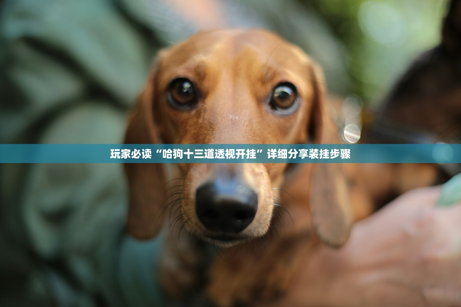 【十万以内车型/9万左右的车】