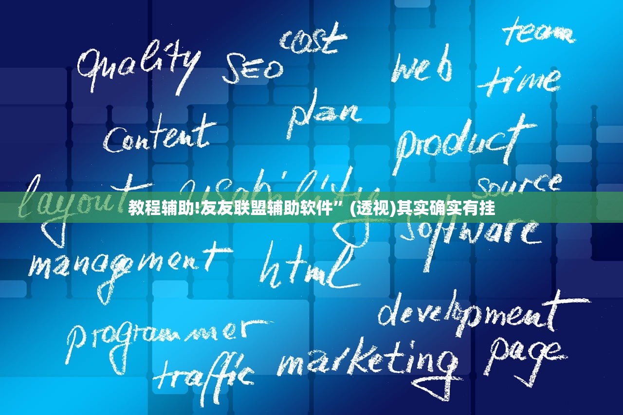 教程辅助!友友联盟辅助软件	”(透视)其实确实有挂