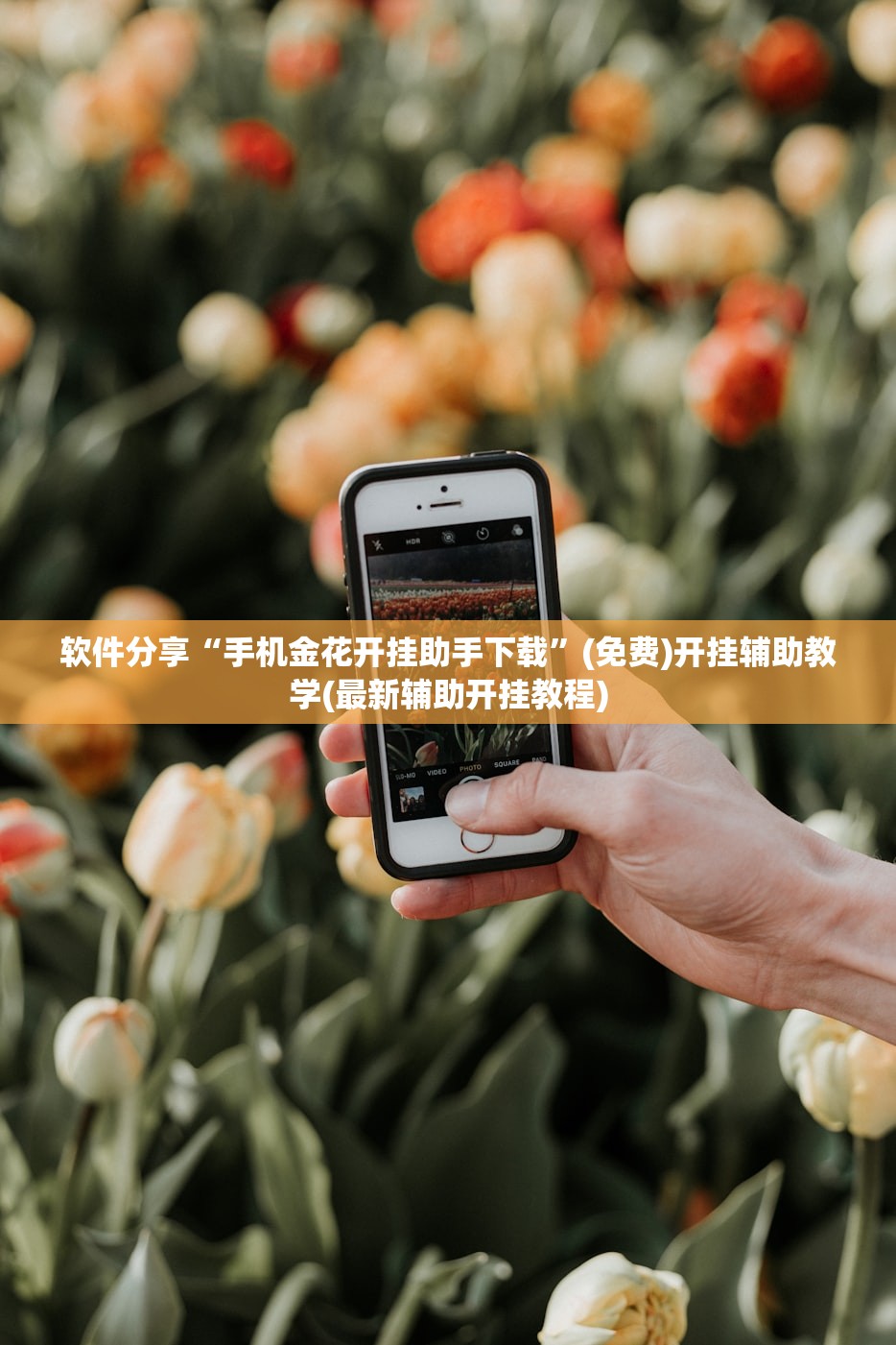 使用分享!微乐免费房间谁开谁输”(辅助神器)开挂详细教程