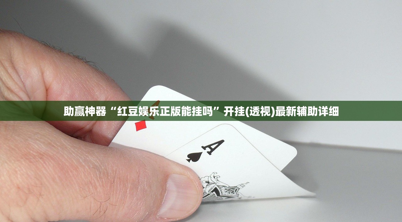 助赢神器“红豆娱乐正版能挂吗”开挂(透视)最新辅助详细