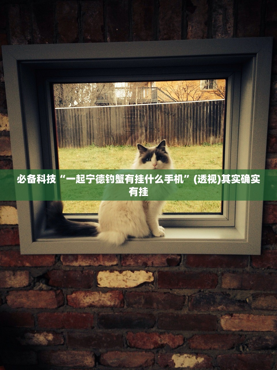 【东北大学真空技术怎么样/东北大学真空研究所】
