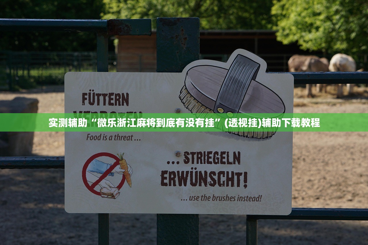 实测辅助“微乐浙江麻将到底有没有挂”(透视挂)辅助下载教程