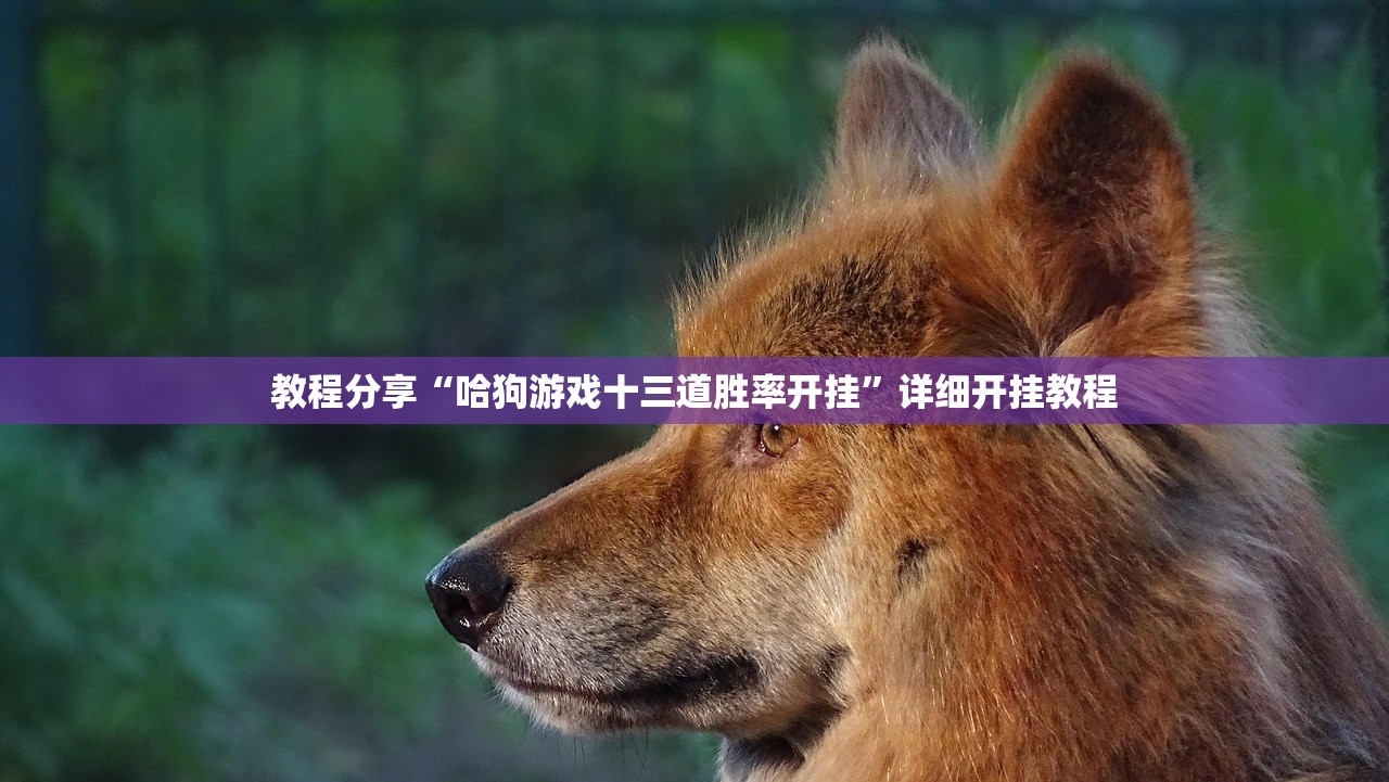今日教程“多乐跑得快软件开挂”(免费)开挂辅助教学(最新辅助开挂教程)
