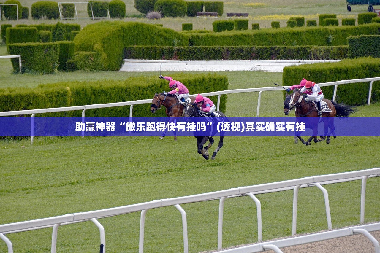 助赢神器“手机打麻将必赢神器下载”细辅助教程分享