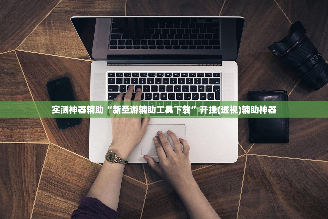 实测神器辅助“新圣游辅助工具下载”开挂(透视)辅助神器