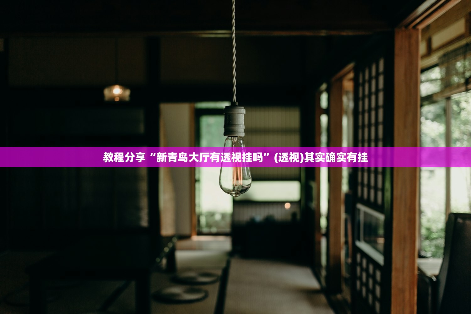 教程分享“新青鸟大厅有透视挂吗”(透视)其实确实有挂