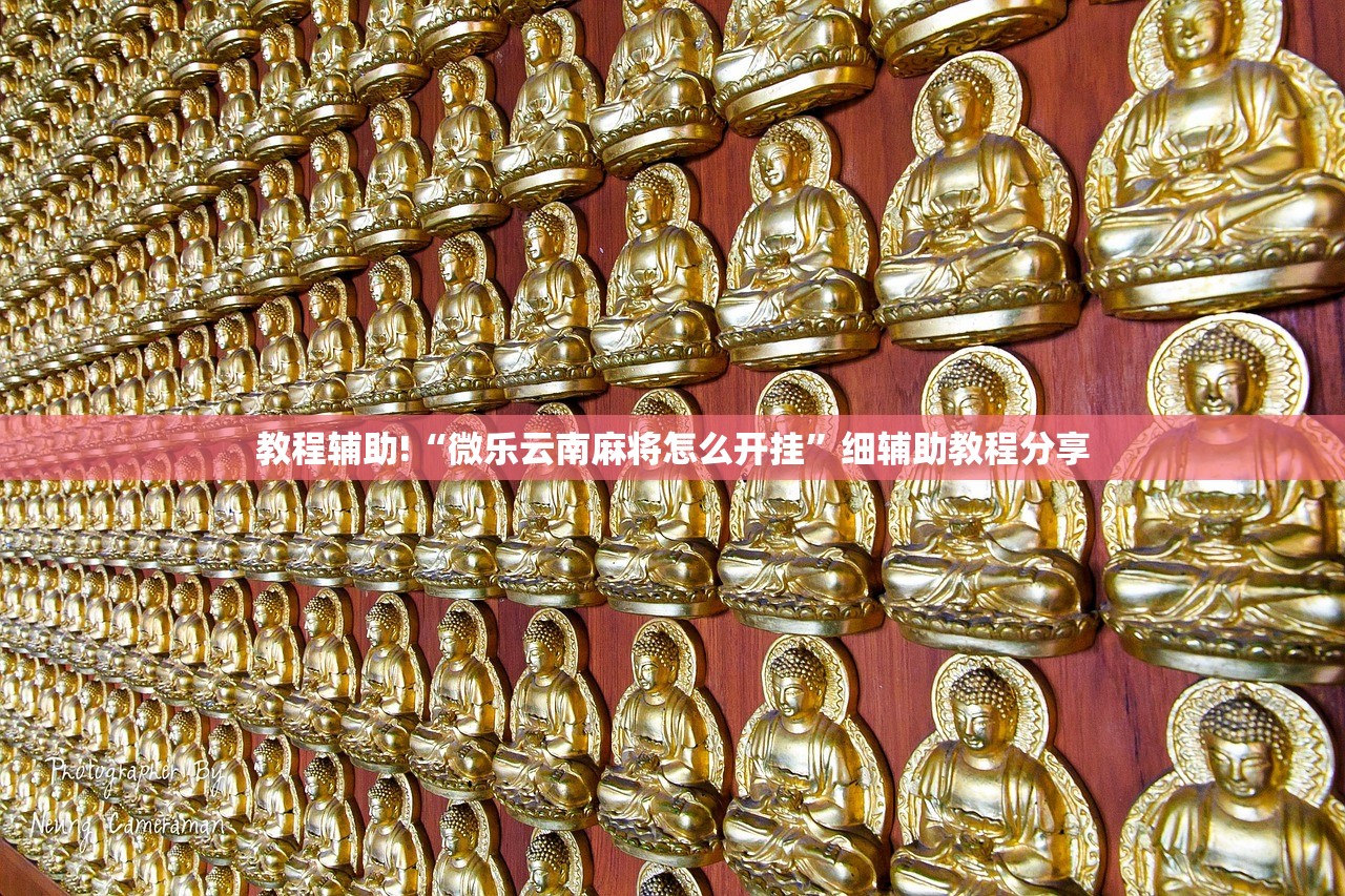 教程辅助!“微乐云南麻将怎么开挂”细辅助教程分享