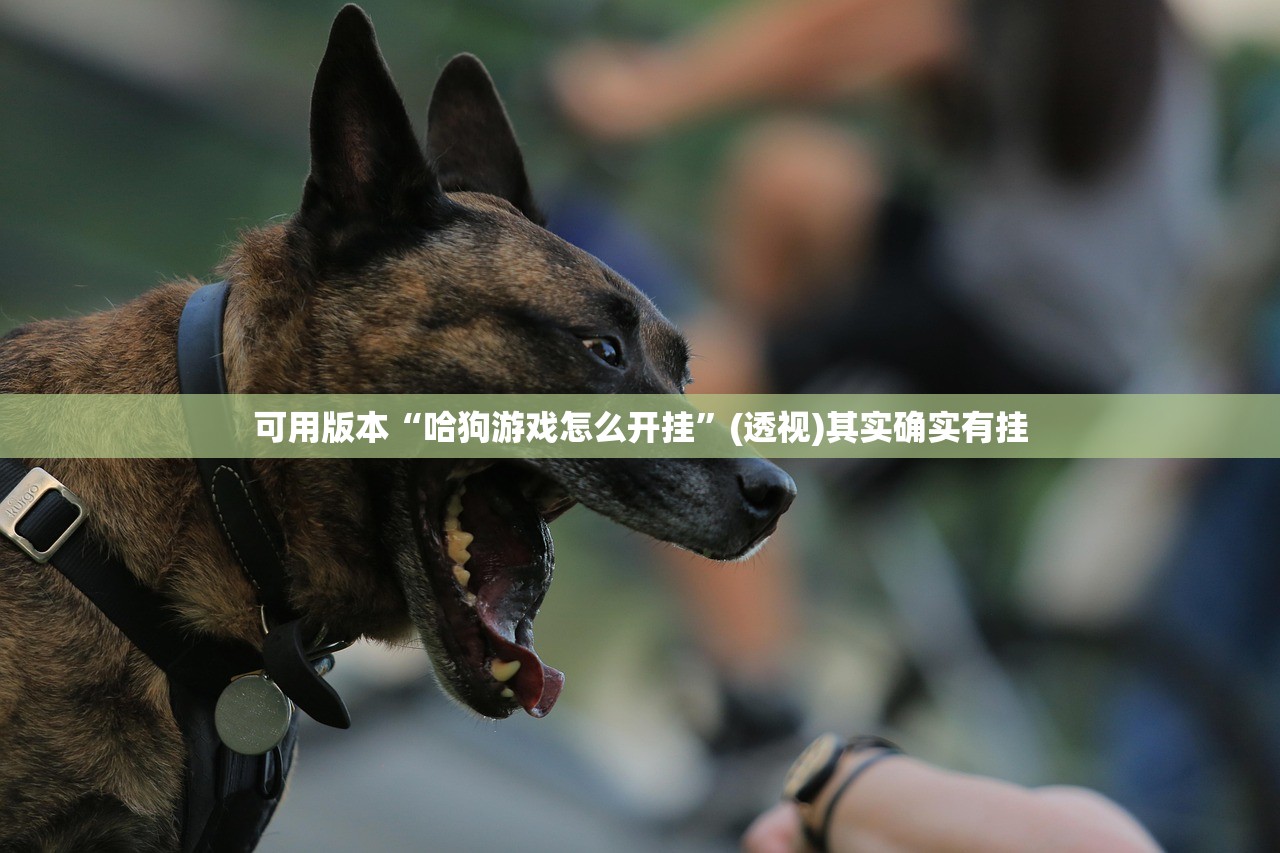 可用版本“哈狗游戏怎么开挂”(透视)其实确实有挂