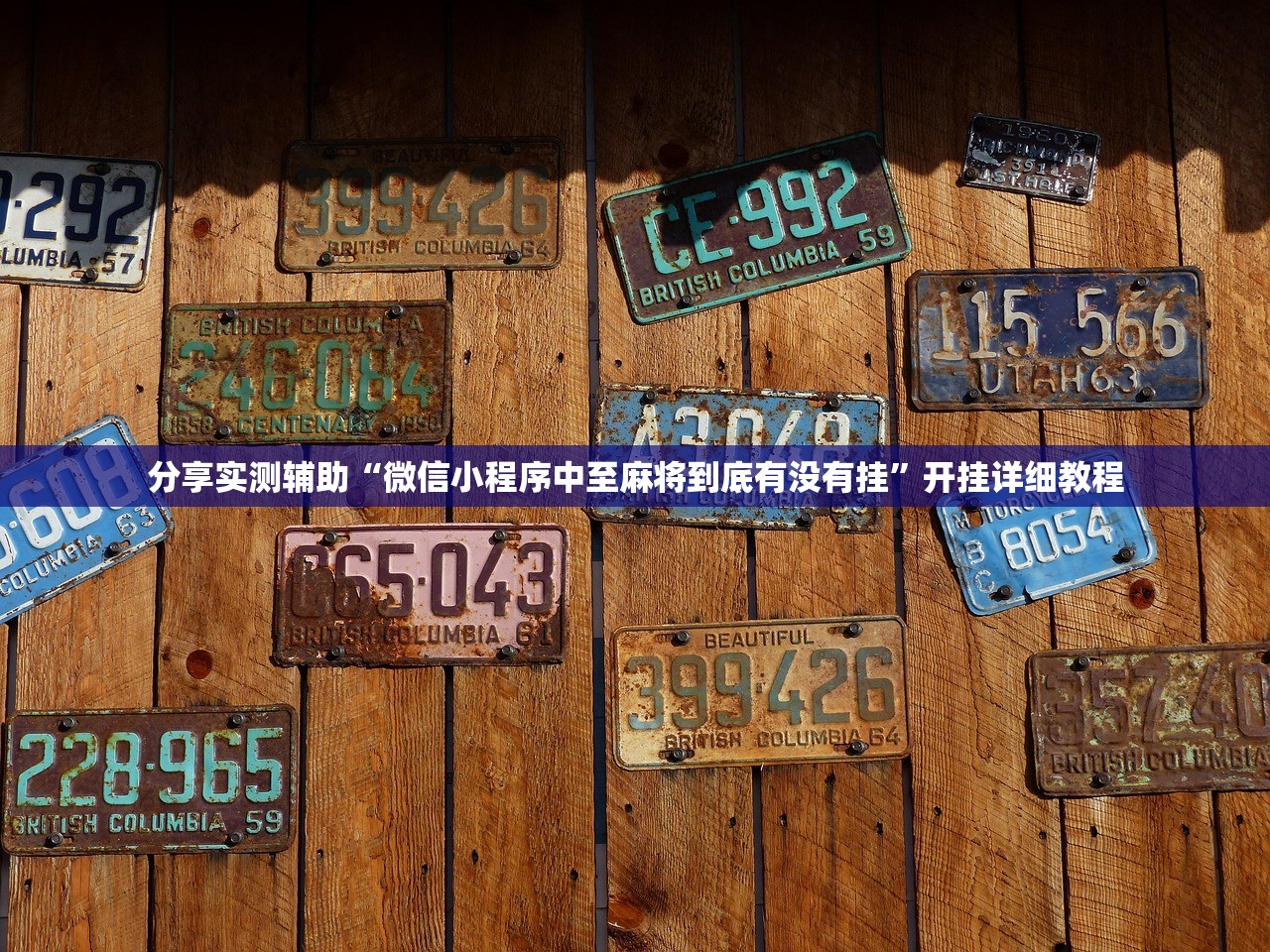 孙俊多少人/孙俊是谁
