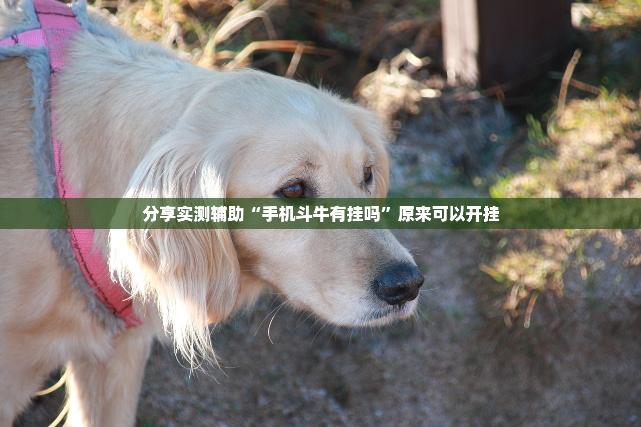 【大连昨日增52例本土/大连昨日新增病例详情】