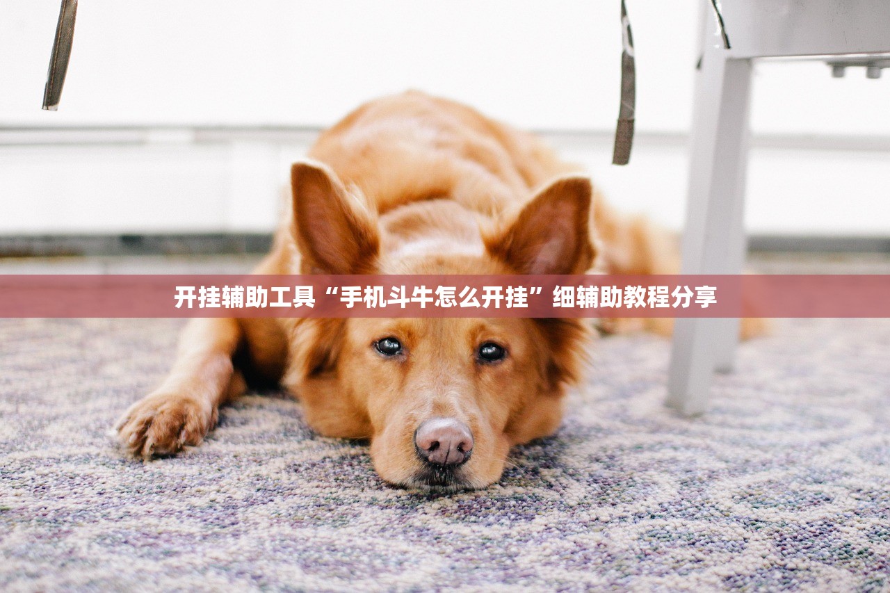 开挂辅助工具“手机斗牛怎么开挂	”细辅助教程分享