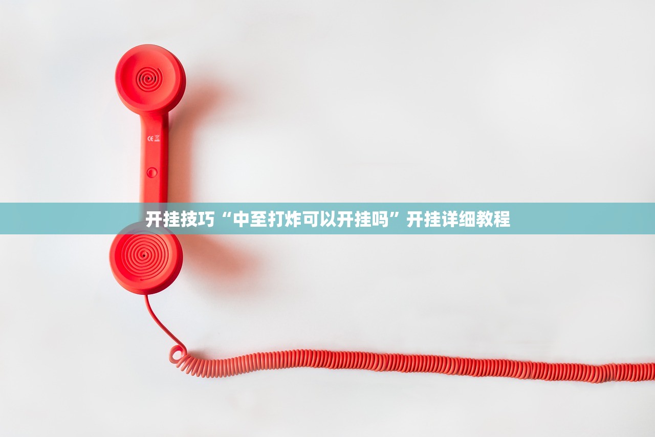 开挂技巧“中至打炸可以开挂吗”开挂详细教程