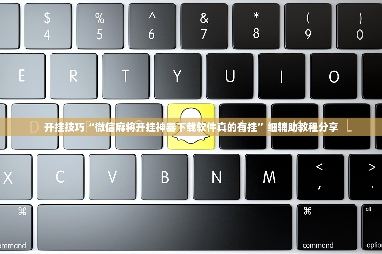 必备科技“胡乐邯郸麻将有挂吗”开挂(透视)最新辅助详细