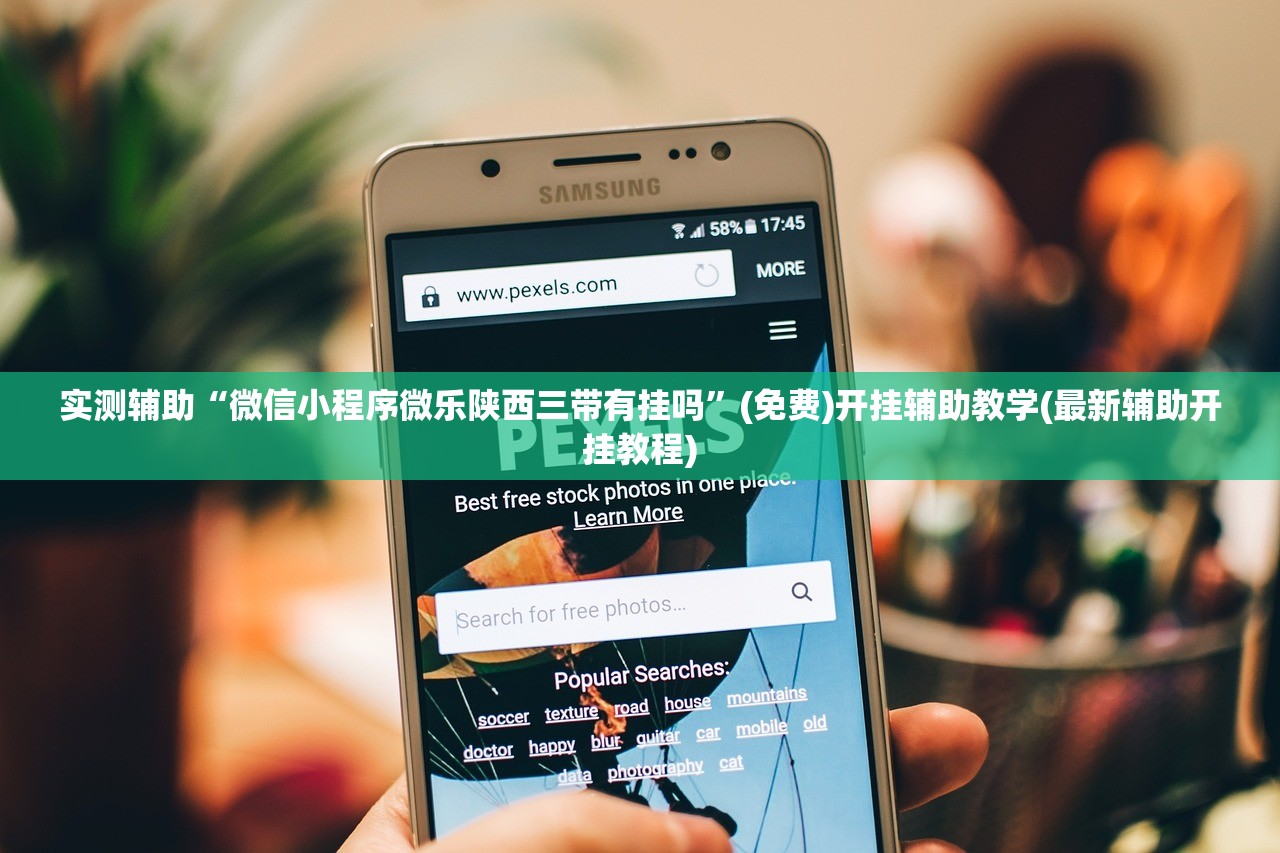 实测辅助“微信小程序微乐陕西三带有挂吗”(免费)开挂辅助教学(最新辅助开挂教程)