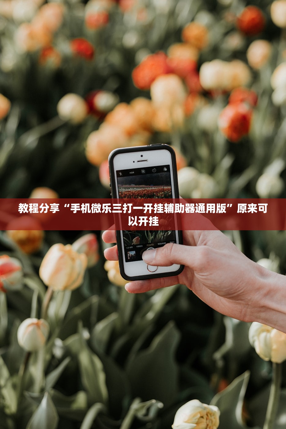 教程分享“手机微乐三打一开挂辅助器通用版”原来可以开挂