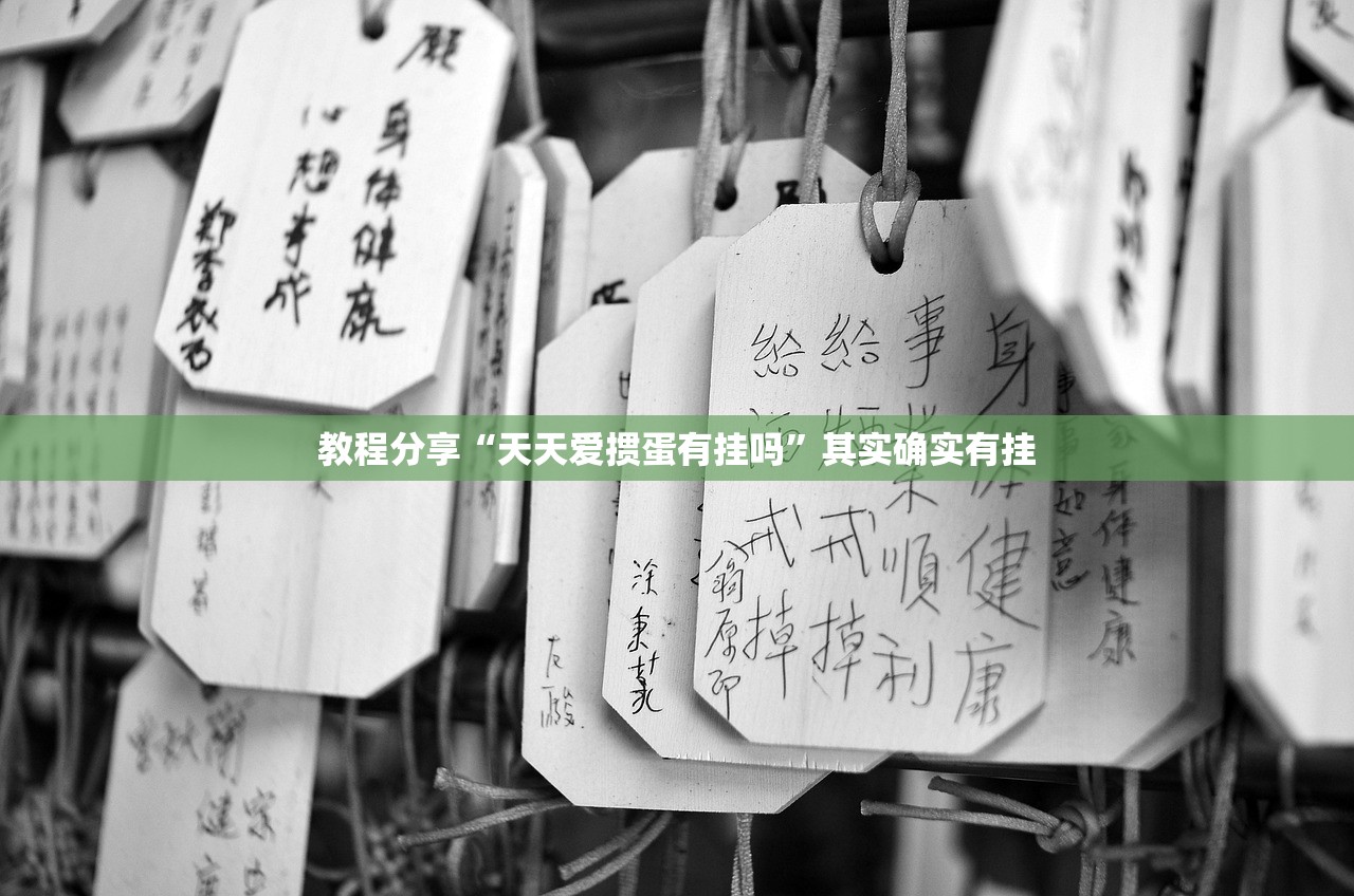 教程分享“天天爱掼蛋有挂吗”其实确实有挂