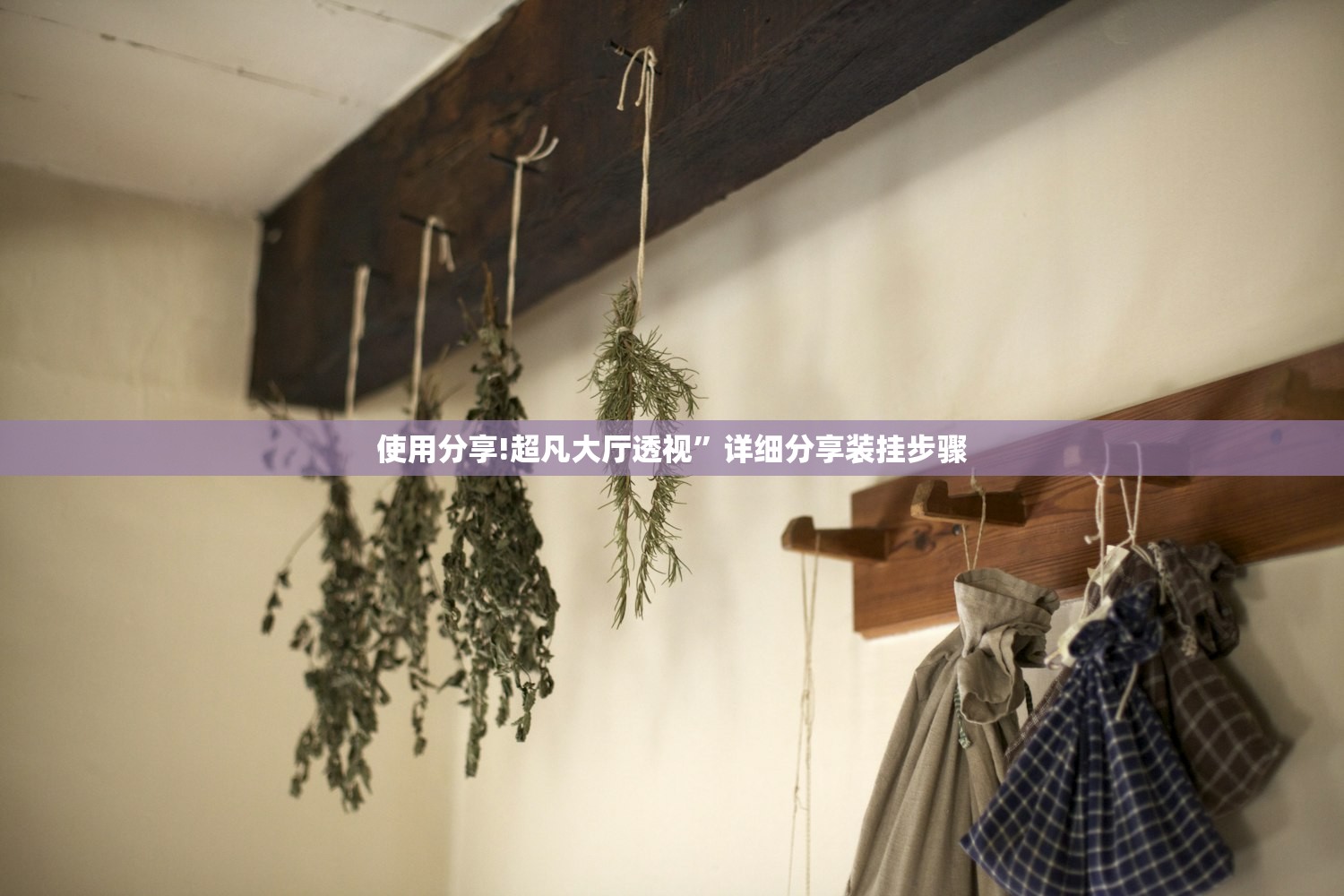 使用分享!超凡大厅透视”详细分享装挂步骤