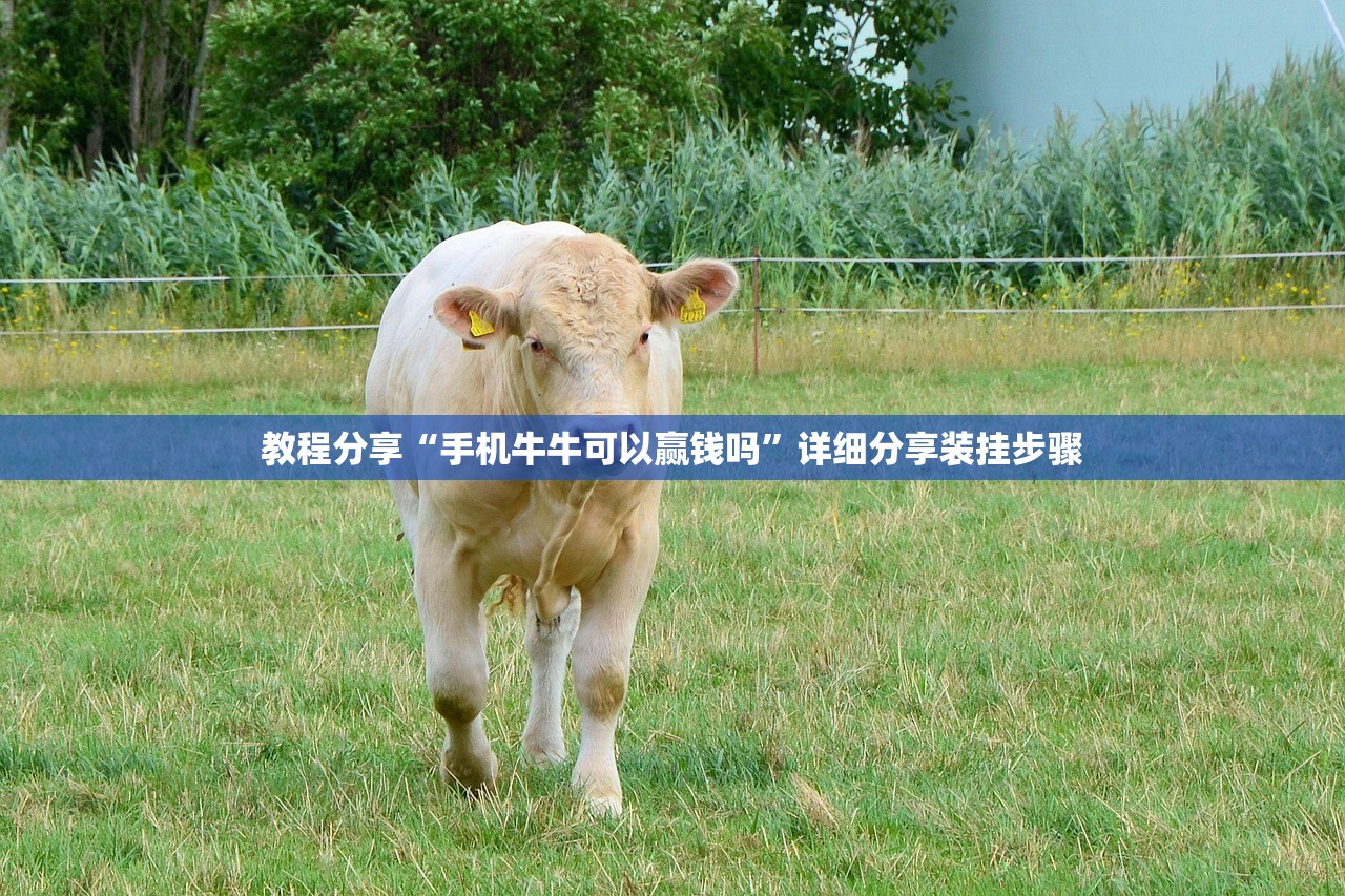 教程分享“手机牛牛可以赢钱吗”详细分享装挂步骤