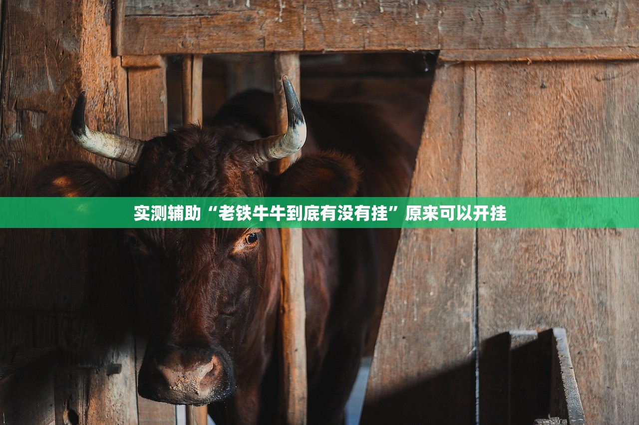 曼岛tt车型/曼岛tt车型盘点文章