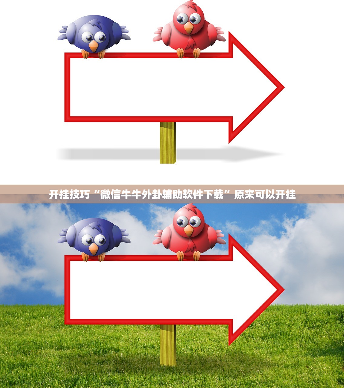 疫情源头初步锁定（疫情源头已查明）
