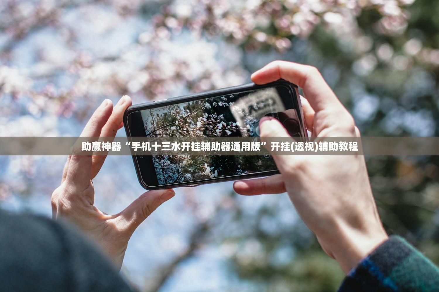 【31省区市新增本土确诊19例,31省区市新增本土确诊59例】