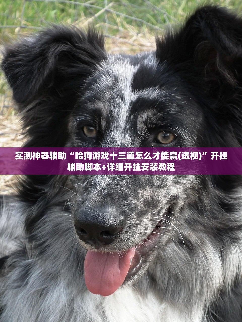 【疫情风险地区,疫情风险地区变动疫情风险地区变化】