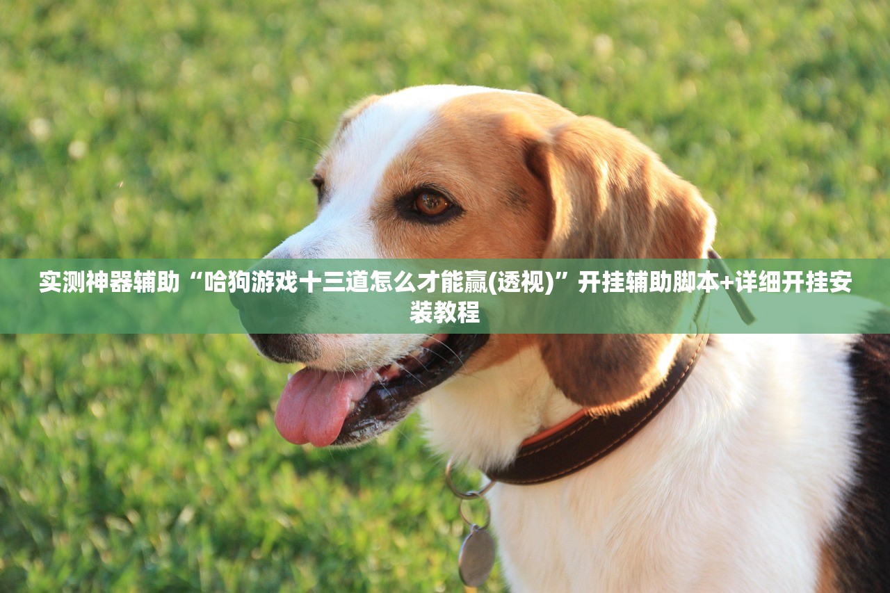 实测神器辅助“哈狗游戏十三道怎么才能赢(透视)”开挂辅助脚本+详细开挂安装教程