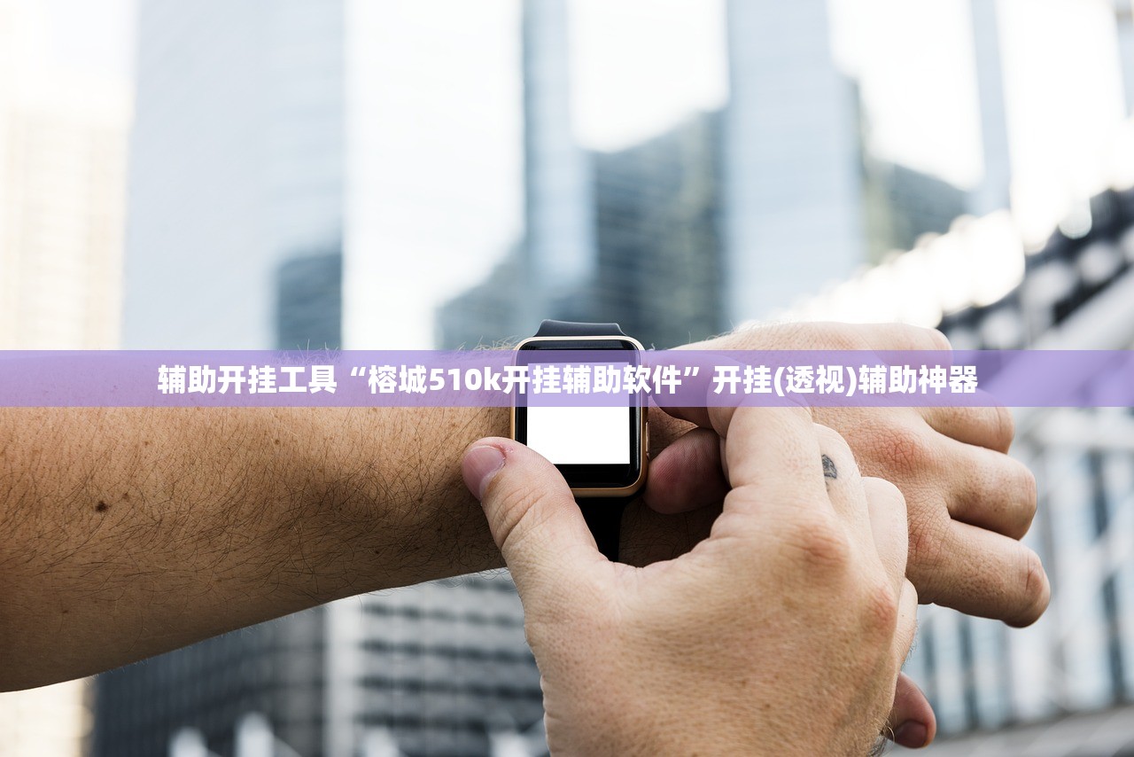 辅助开挂工具“榕城510k开挂辅助软件	”开挂(透视)辅助神器