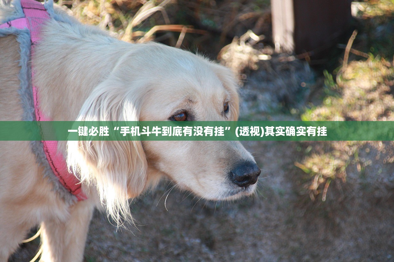 北京市大兴限行/北京市大兴限行规定最新