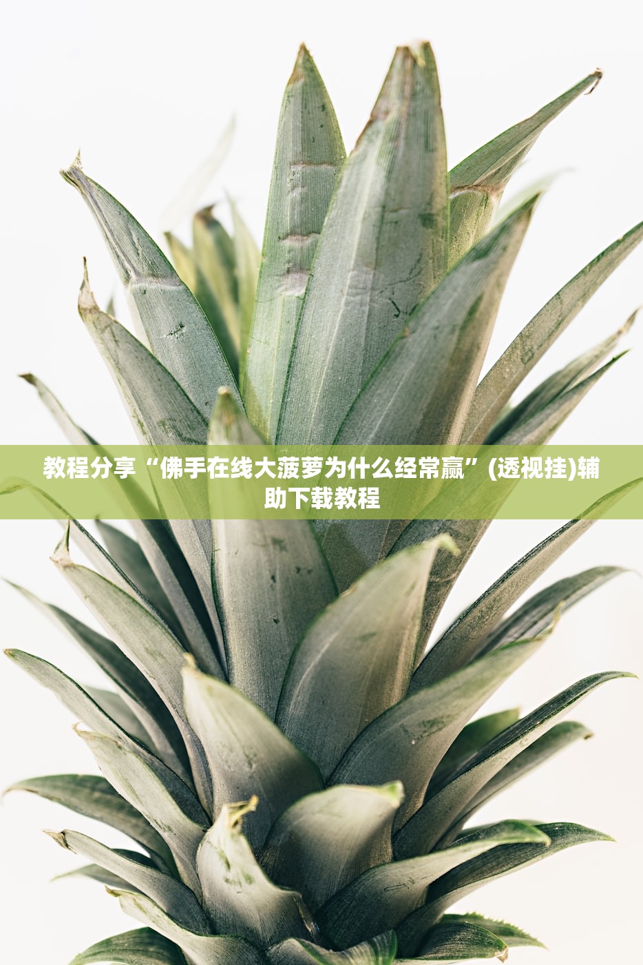 教程分享“佛手在线大菠萝为什么经常赢”(透视挂)辅助下载教程