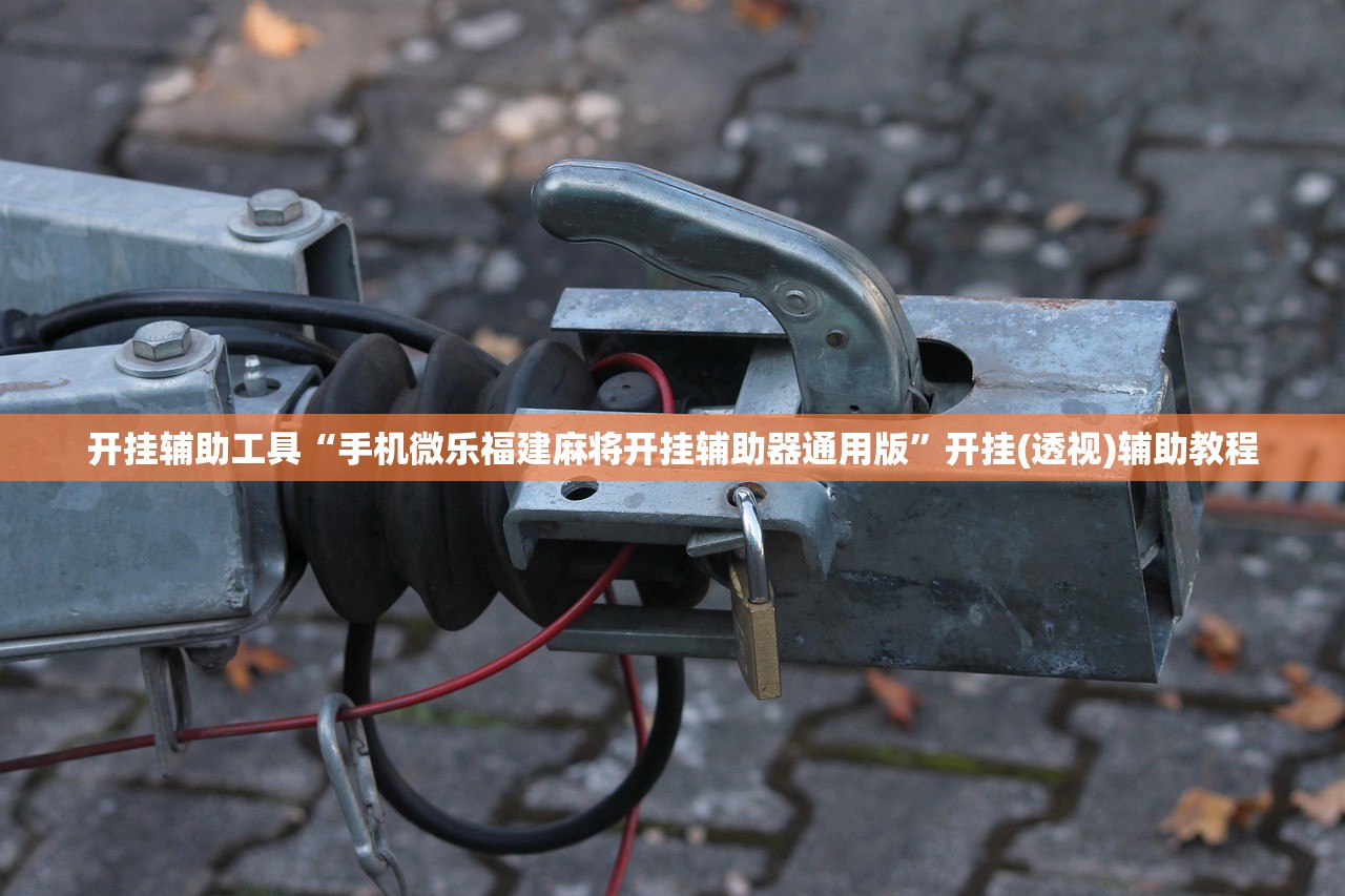 开挂辅助工具“手机微乐福建麻将开挂辅助器通用版	”开挂(透视)辅助教程