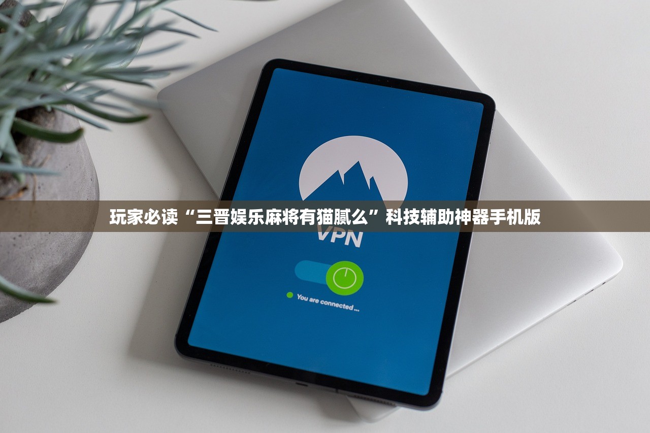 玩家必读“三晋娱乐麻将有猫腻么”科技辅助神器手机版