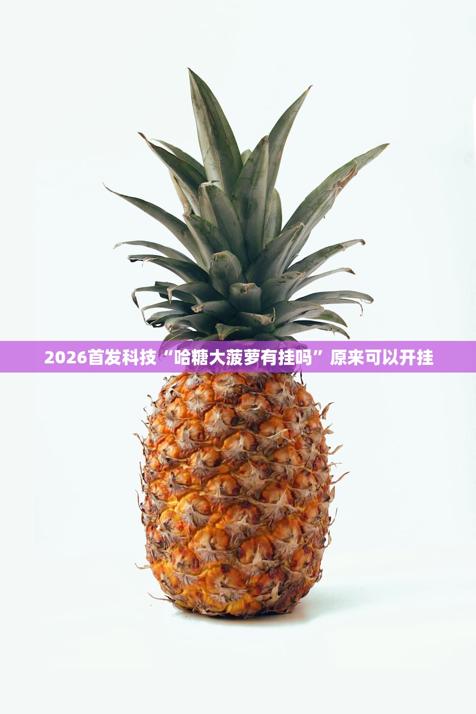2026首发科技“哈糖大菠萝有挂吗	”原来可以开挂