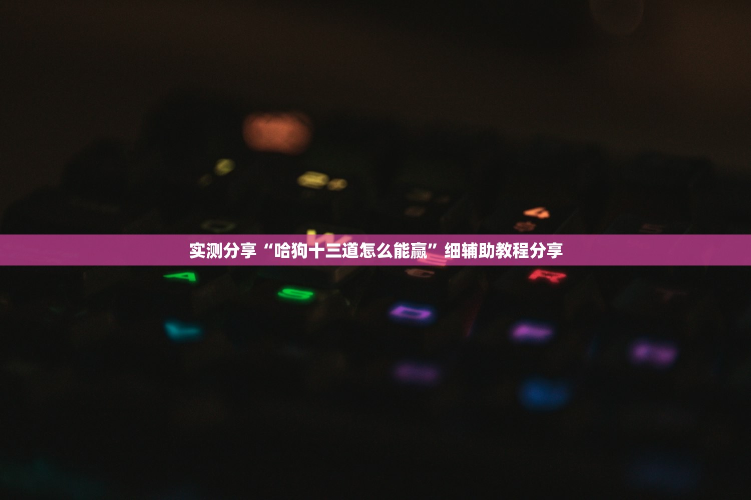 实测分享“哈狗十三道怎么能赢”细辅助教程分享