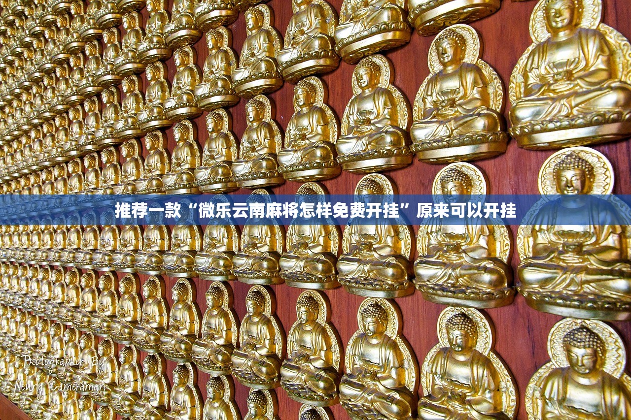 推荐一款“微乐云南麻将怎样免费开挂”原来可以开挂