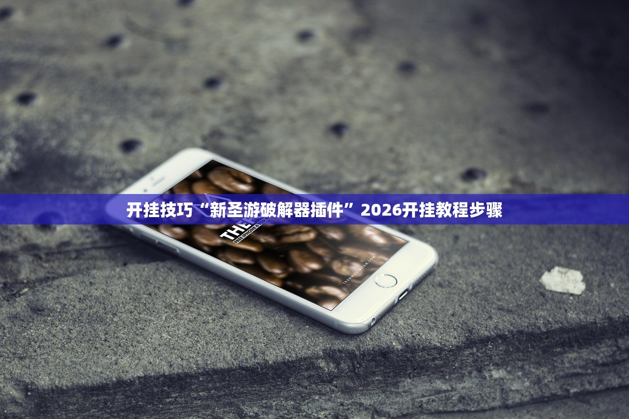 开挂技巧“新圣游破解器插件”2026开挂教程步骤
