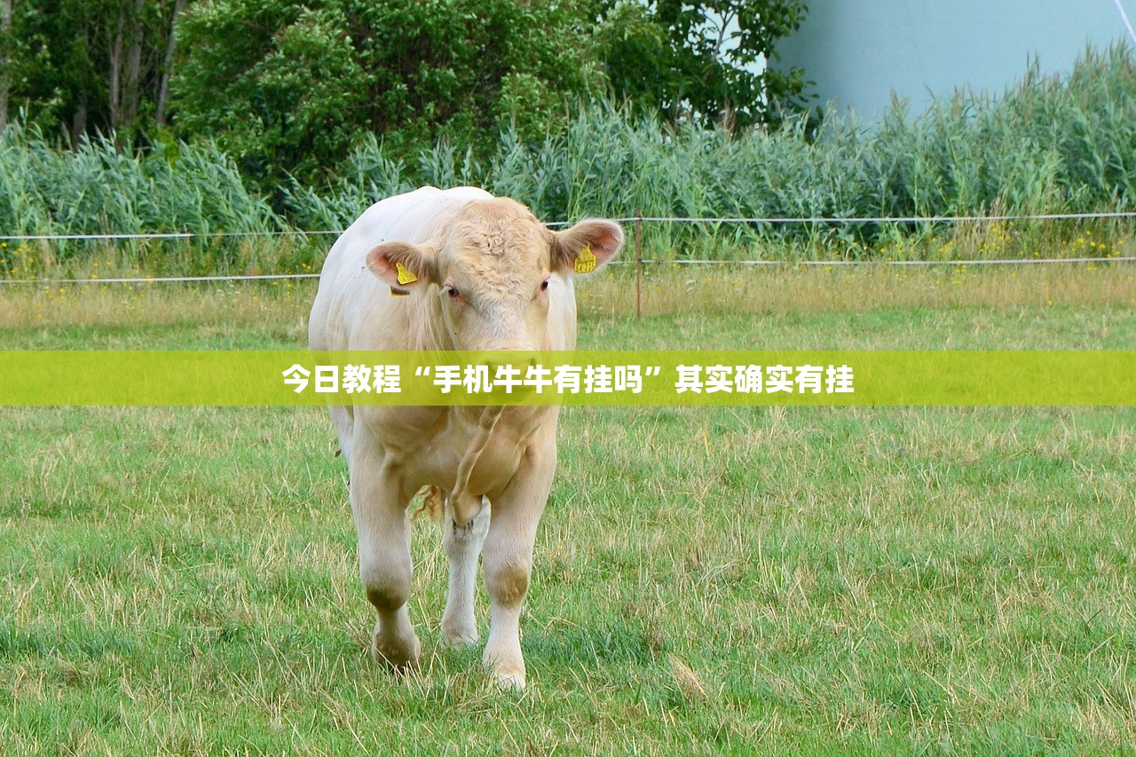 高压清洗机使用方法/高压清洗机使用方法及注意事项