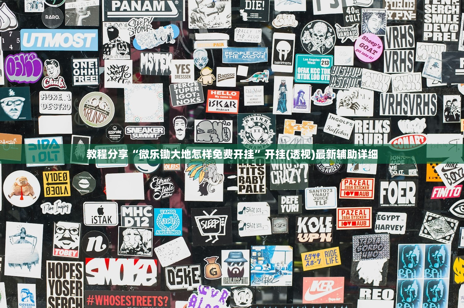 强力推荐“闲逸斗地主有挂”开挂辅助脚本+详细开挂安装教程