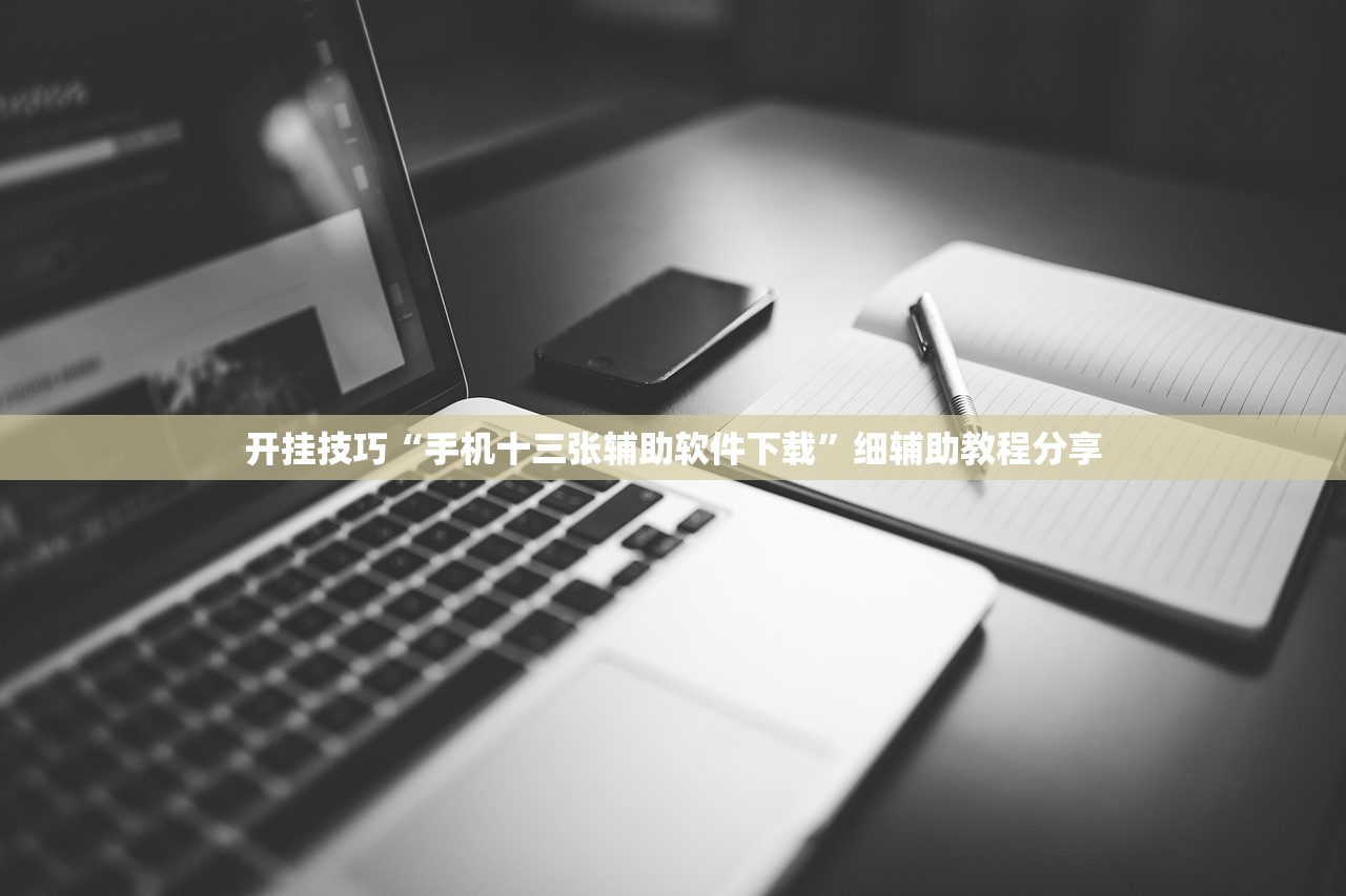 开挂辅助工具“闲来玩十三水开挂作弊辅助”2026开挂教程步骤