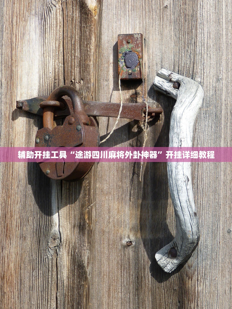 分享实测辅助“中至万年麻将开挂辅助器通用版”开挂(透视)最新辅助详细