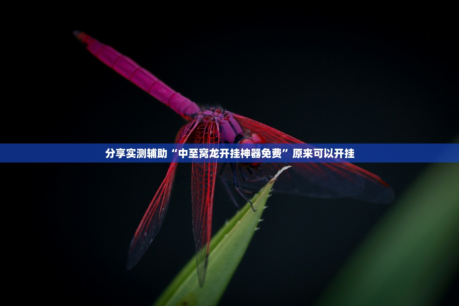 我国宣布疫情结束（我国宣布疫情结束了吗）