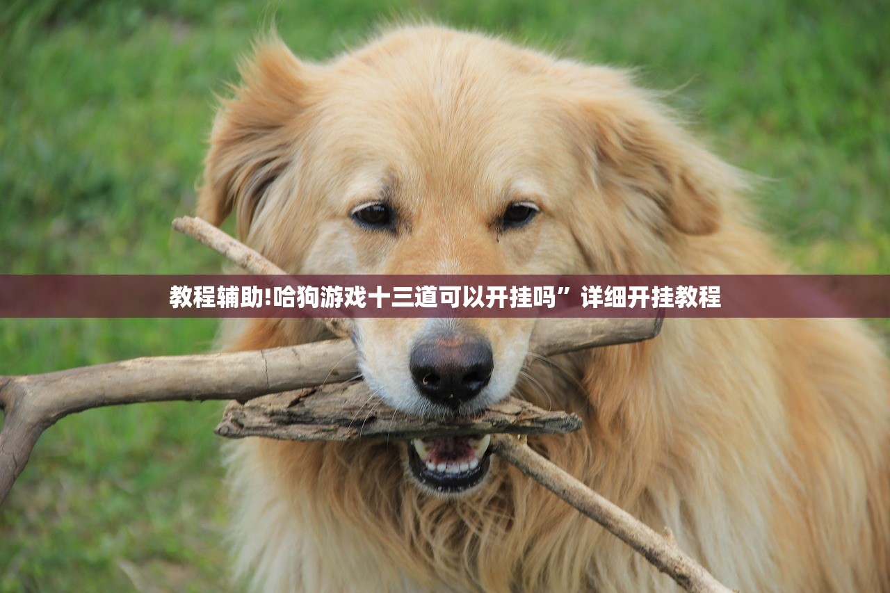教程辅助!哈狗游戏十三道可以开挂吗”详细开挂教程