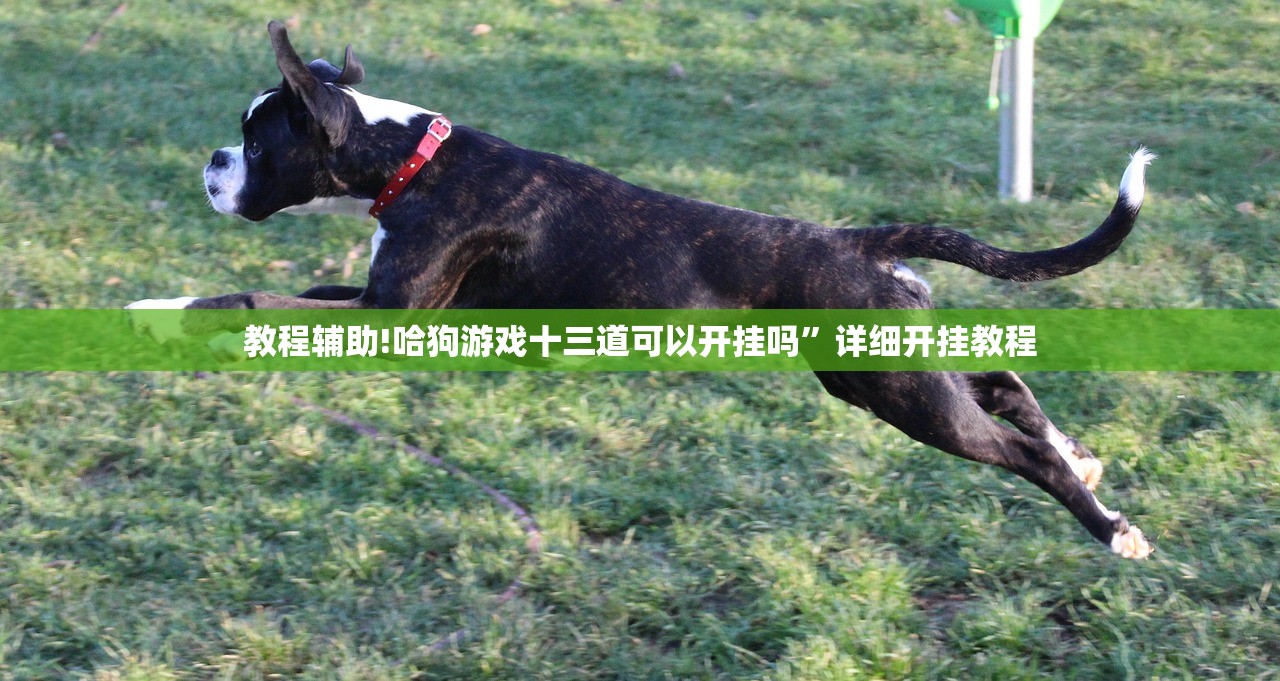 教程辅助!哈狗游戏十三道可以开挂吗	”详细开挂教程