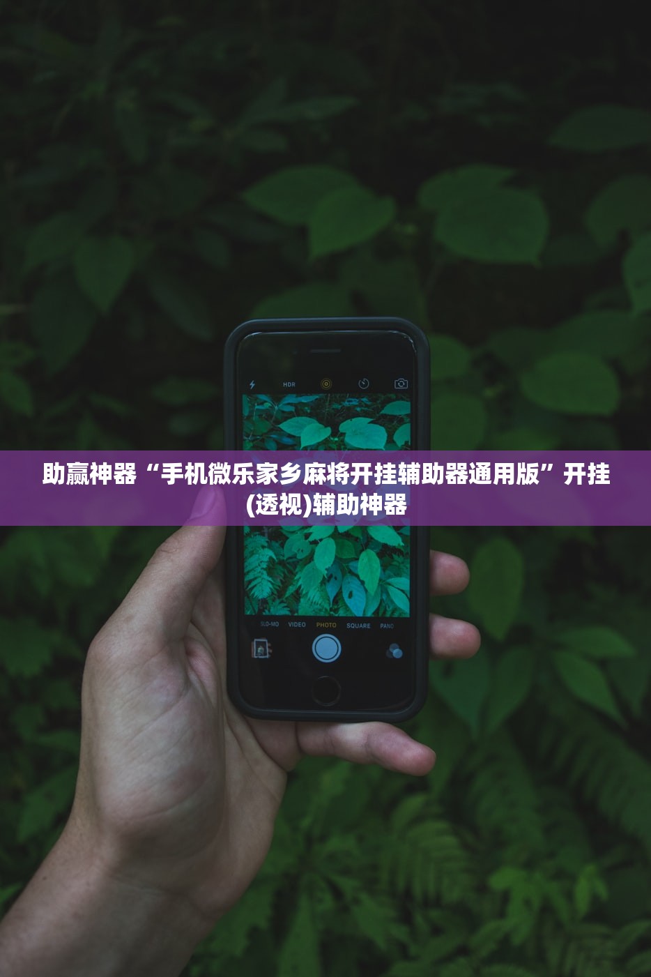 助赢神器“手机微乐家乡麻将开挂辅助器通用版”开挂(透视)辅助神器