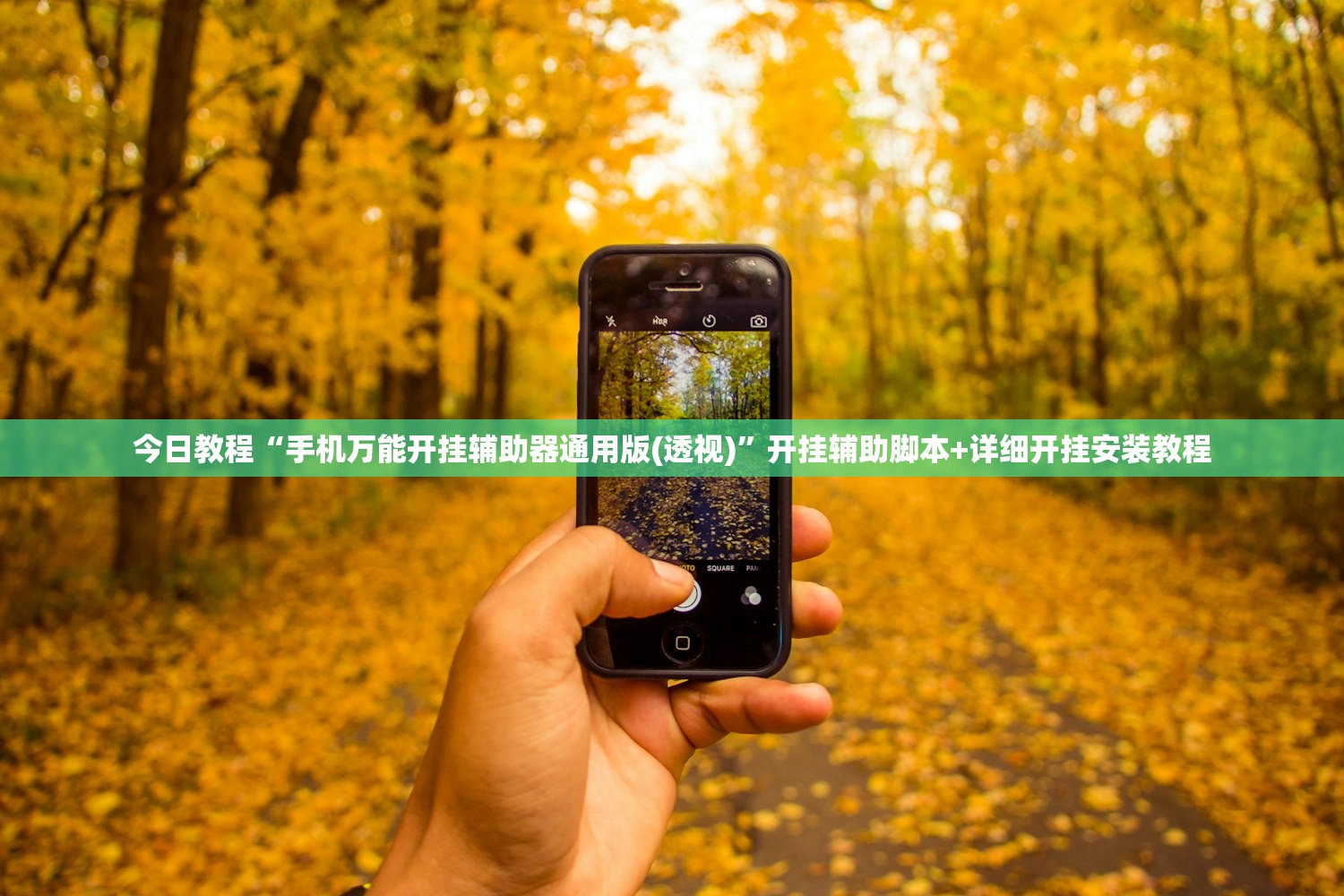 今日教程“手机万能开挂辅助器通用版(透视)”开挂辅助脚本+详细开挂安装教程