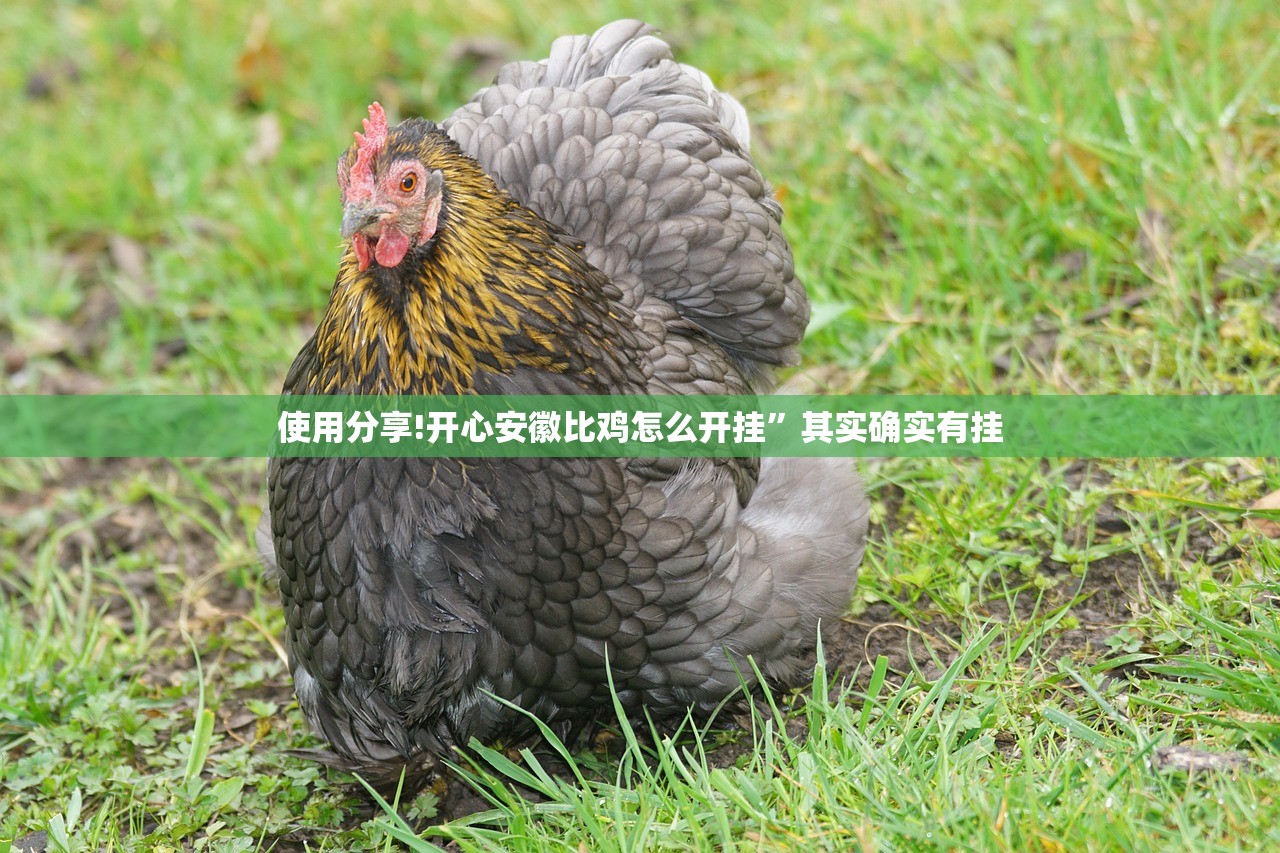 使用分享!开心安徽比鸡怎么开挂”其实确实有挂